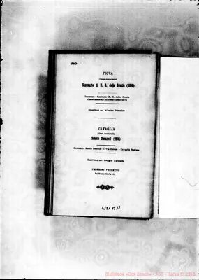 Fotogramma B 11