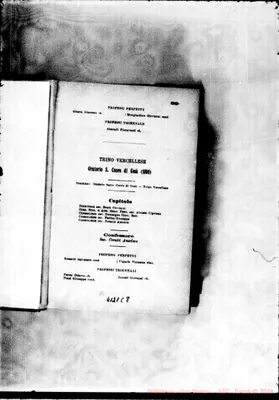 Fotogramma C 8