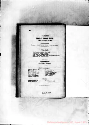 Fotogramma D 11