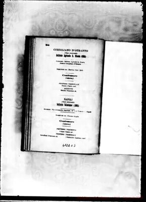 Fotogramma C 3