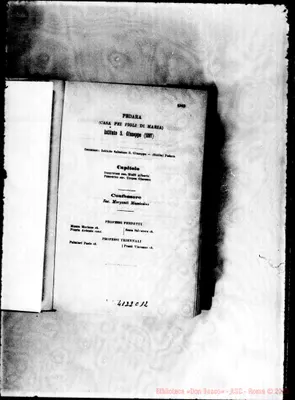 Fotogramma C 12