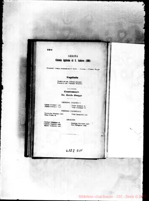 Fotogramma D 11