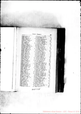 Fotogramma C 11