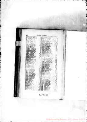 Fotogramma D 10
