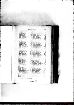 Fotogramma D 11