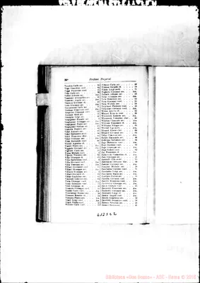 Fotogramma E 2