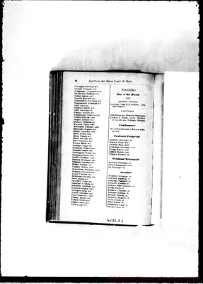 Fotogramma B 6