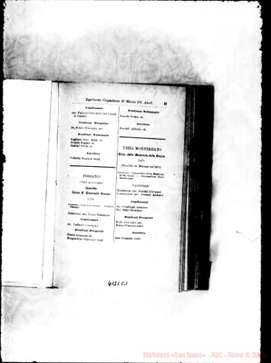 Fotogramma C 1