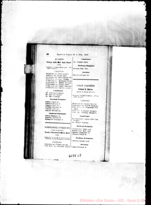 Fotogramma C 8