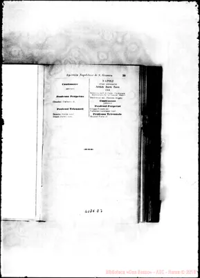 Fotogramma D 7