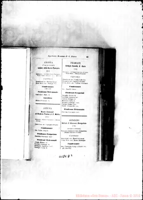 Fotogramma D 9