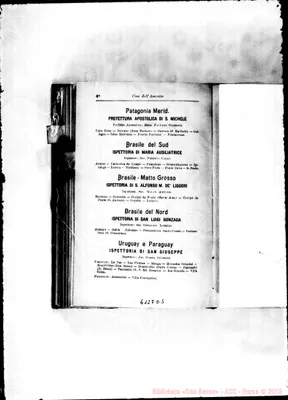 Fotogramma D 5