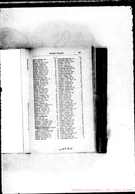 Fotogramma D 11