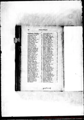 Fotogramma D 12