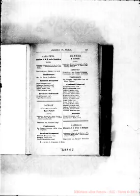 Fotogramma B 2