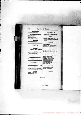 Fotogramma B 3