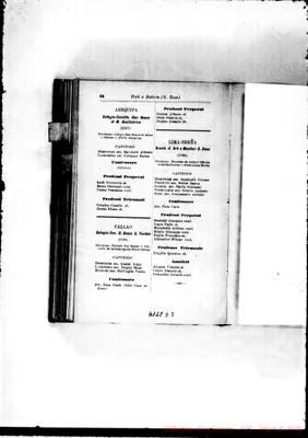 Fotogramma D 5