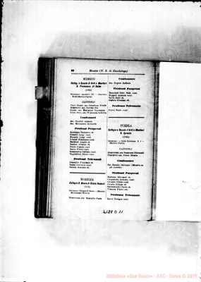 Fotogramma D 11
