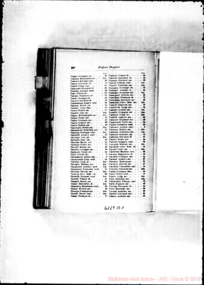 Fotogramma B 1