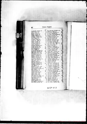 Fotogramma B 3