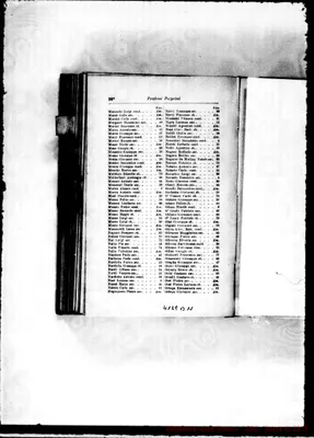 Fotogramma B 11