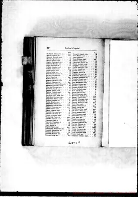 Fotogramma C 5
