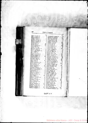 Fotogramma D 1