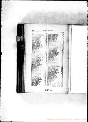 Fotogramma D 3