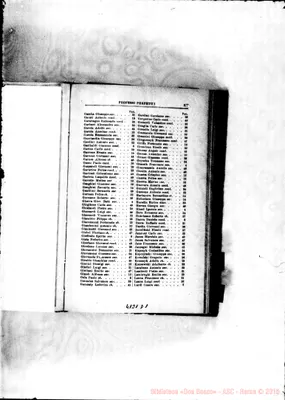 Fotogramma D 1