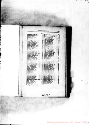 Fotogramma D 5