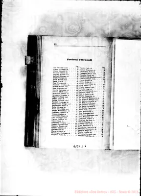 Fotogramma D 6