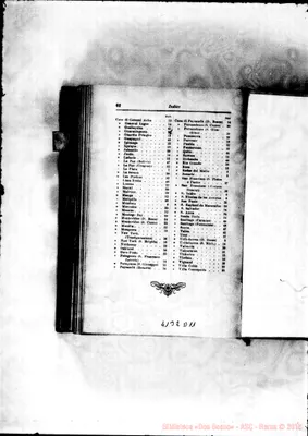 Fotogramma D 11