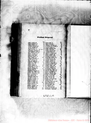 Fotogramma E 12