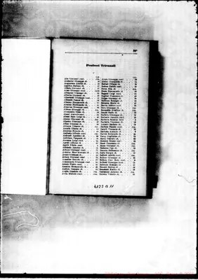 Fotogramma B 11
