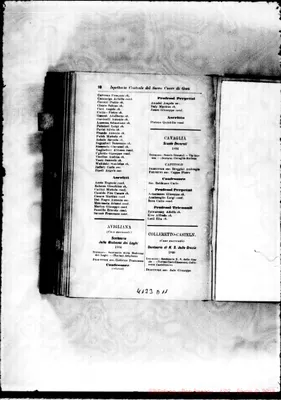 Fotogramma D 11