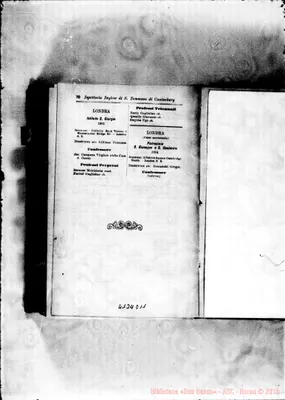 Fotogramma D 11