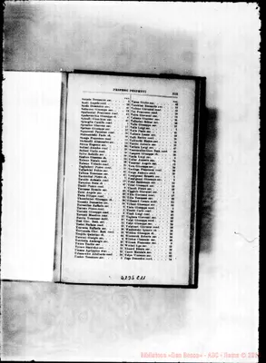 Fotogramma C 11