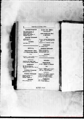 Fotogramma D 11