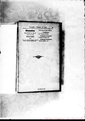 Fotogramma D 2