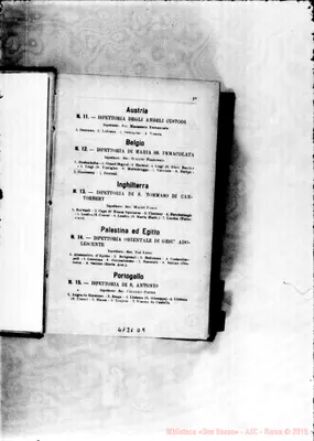 Fotogramma D 9