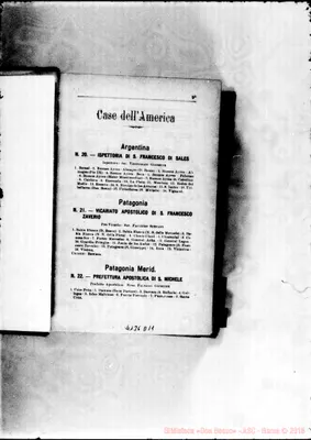 Fotogramma D 11