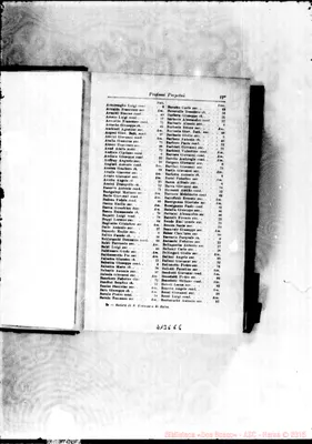 Fotogramma E 6