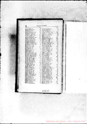 Fotogramma E 7