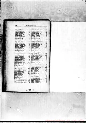 Fotogramma C 1