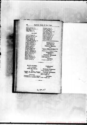 Fotogramma B 8