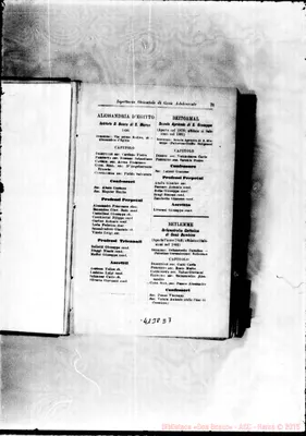 Fotogramma D 7
