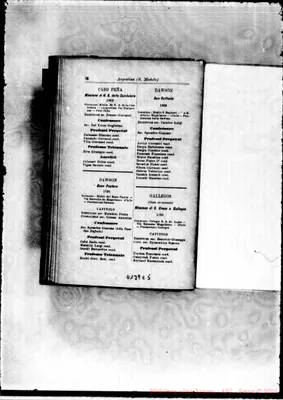 Fotogramma E 5