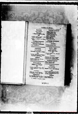 Fotogramma E 6