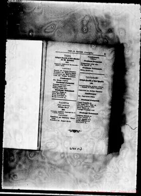 Fotogramma B 2
