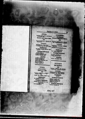 Fotogramma B 5